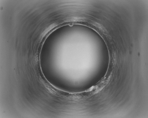 X0000068271073200604211104