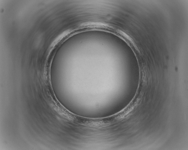 X0000068271074200604211104