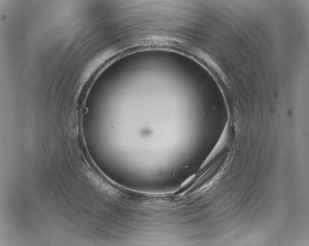 X0000068271075200604211104