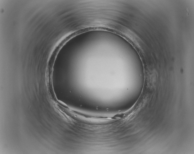 X0000068271076200604211104