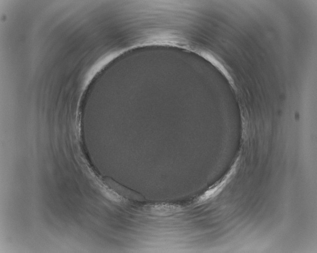 X0000068271077200604211104