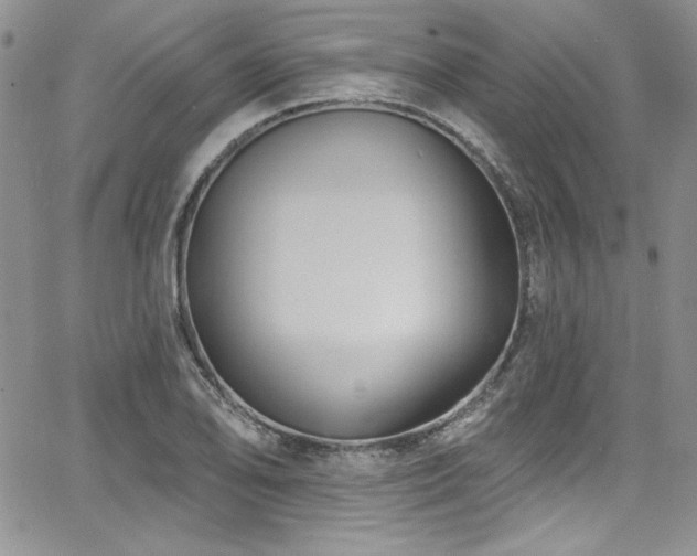 X0000068271078200604211104