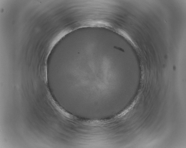 X0000068271079200604211104