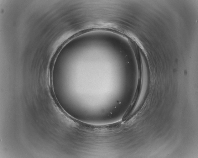 X0000068271080200604211104