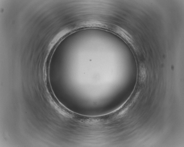 X0000068271082200604211104