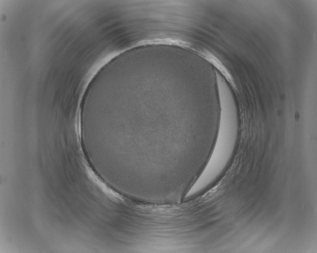 X0000068271084200604211104