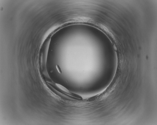 X0000068271085200604211104