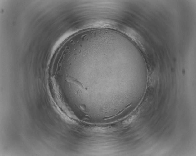 X0000068271086200604211104