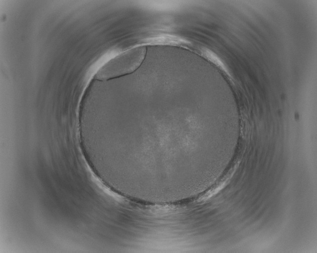 X0000068271087200604211104