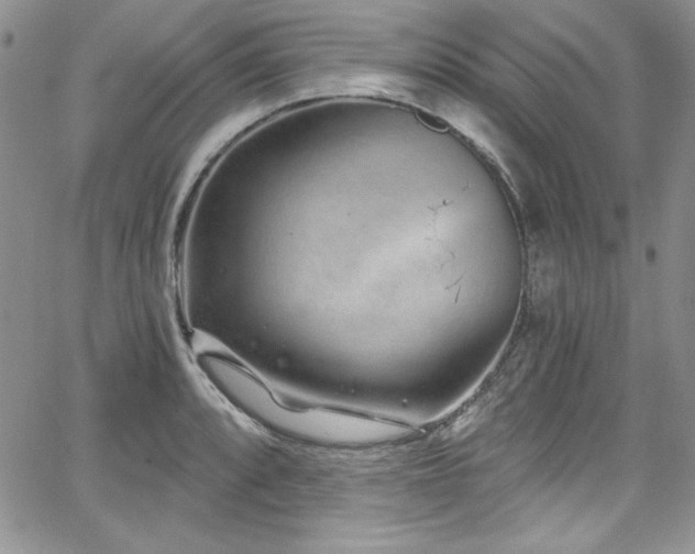 X0000068271088200604211104