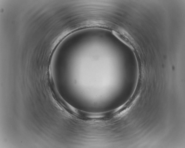 X0000068271089200604211104