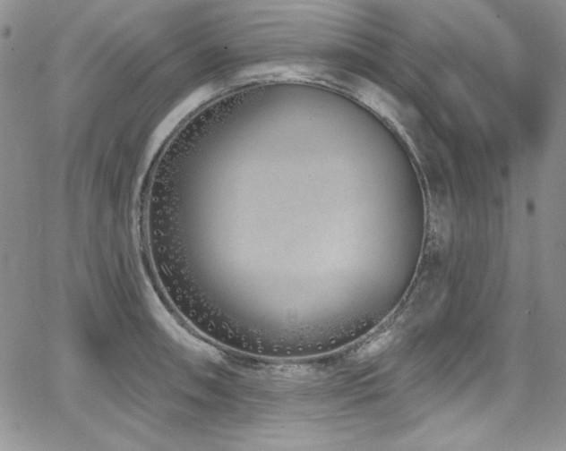 X0000068271090200604211104