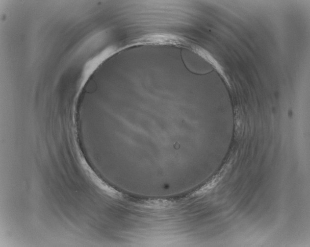 X0000068271091200604211104