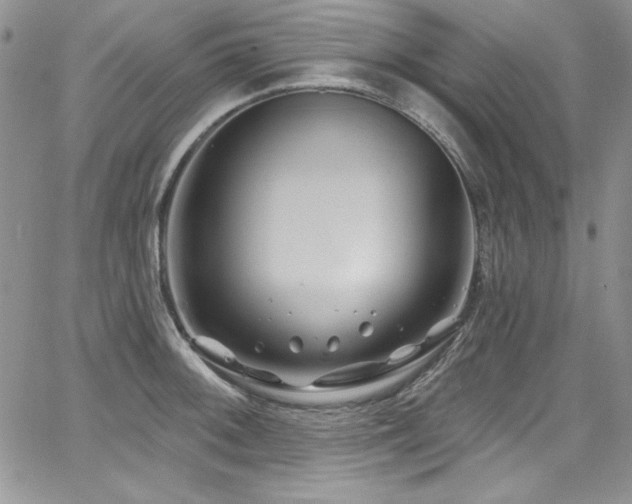 X0000068271092200604211104