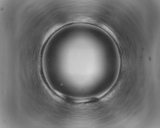 X0000068271093200604211104