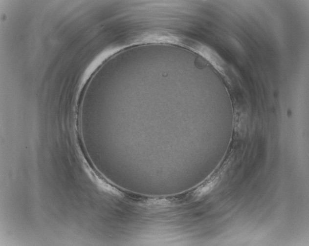 X0000068271094200604211104