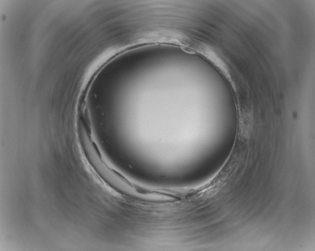 X0000068271096200604211104