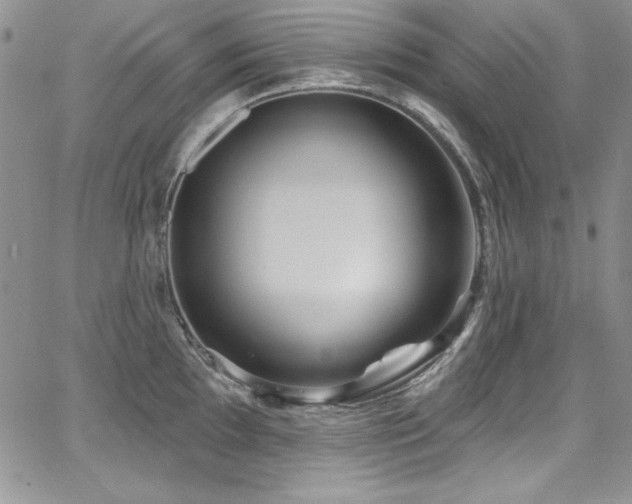 X0000068271097200604211104