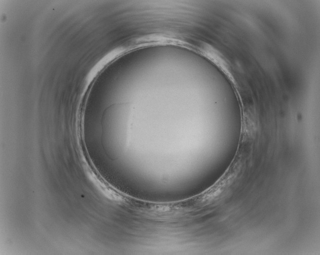 X0000068271098200604211104