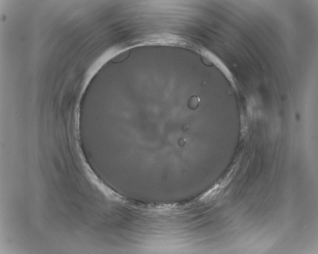 X0000068271099200604211104