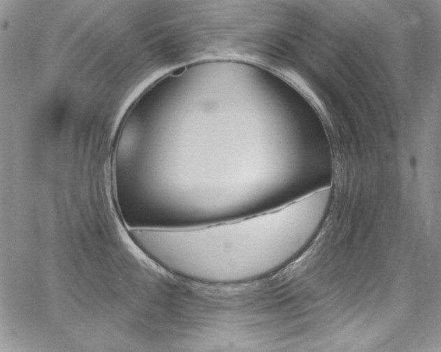 X0000068271100200604211104