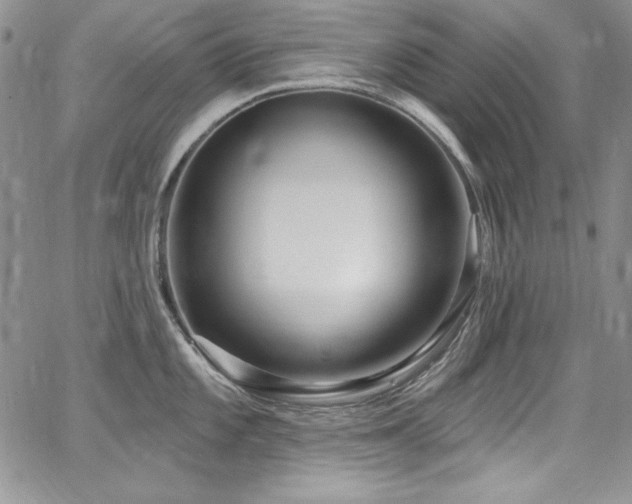 X0000068271101200604211104