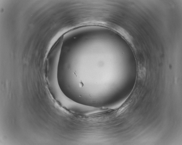 X0000068271102200604211104