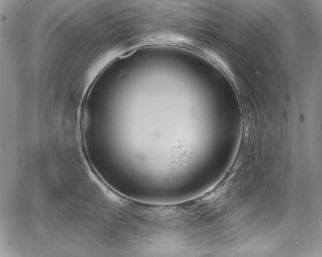 X0000068271103200604211104