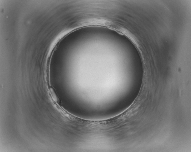 X0000068271104200604211104