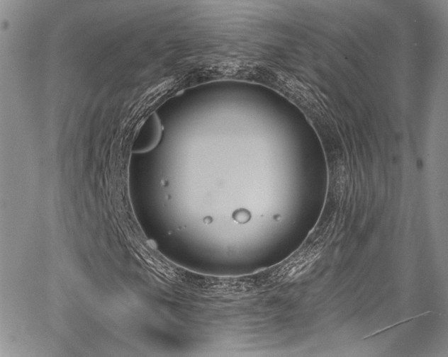 X0000068271105200604211103