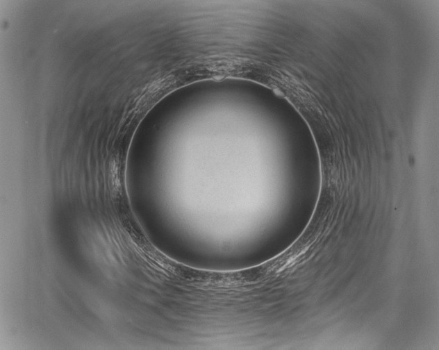 X0000068271106200604211103