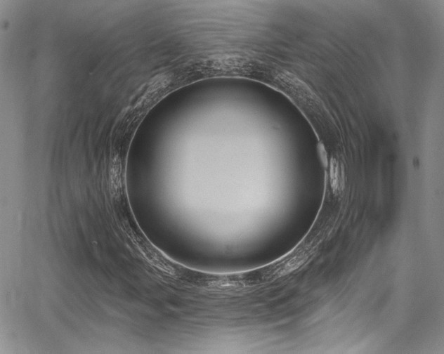 X0000068271107200604211103