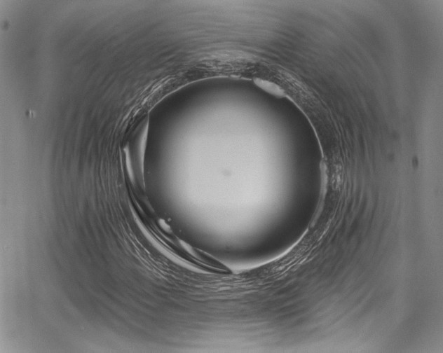 X0000068271108200604211103