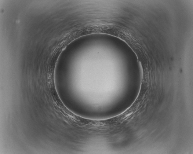 X0000068271109200604211103