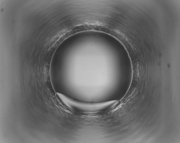 X0000068271110200604211103