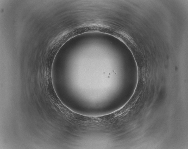 X0000068271111200604211103