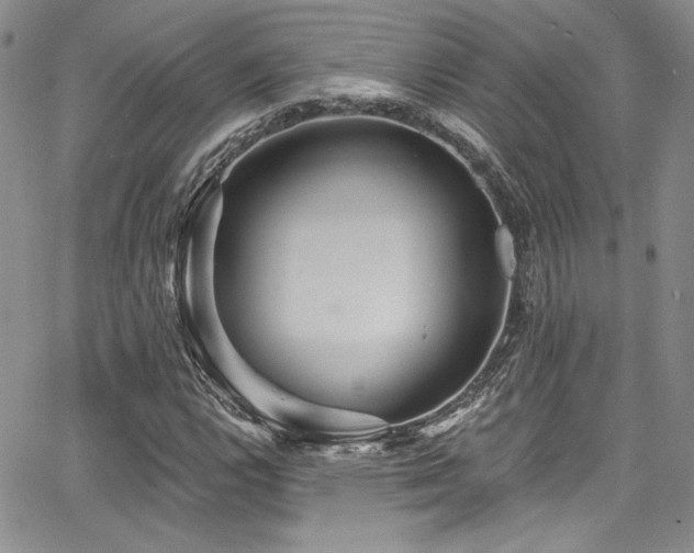 X0000068271112200604211103