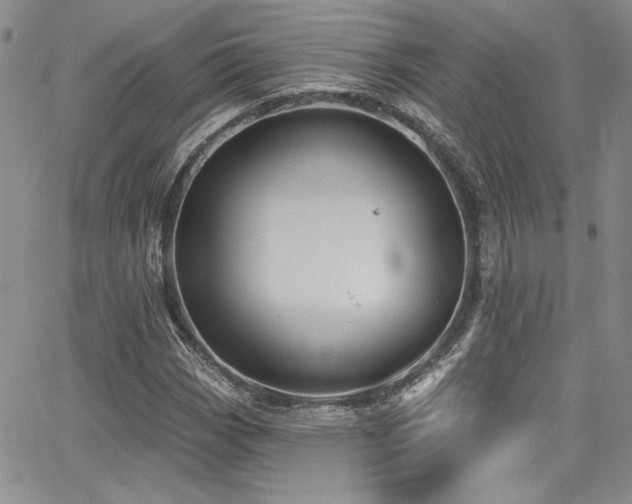 X0000068271113200604211103