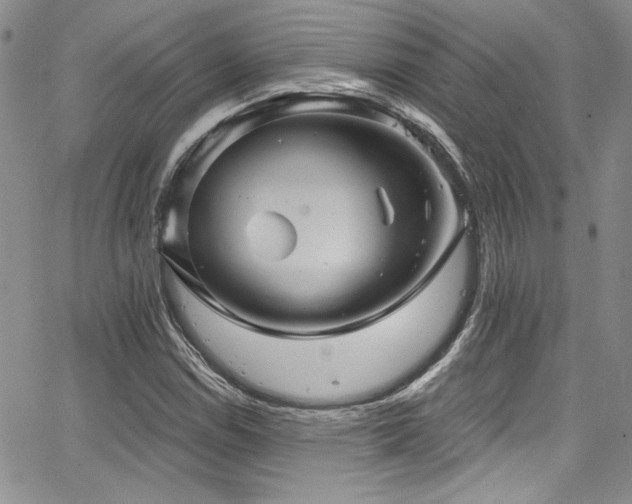 X0000068271114200604211103