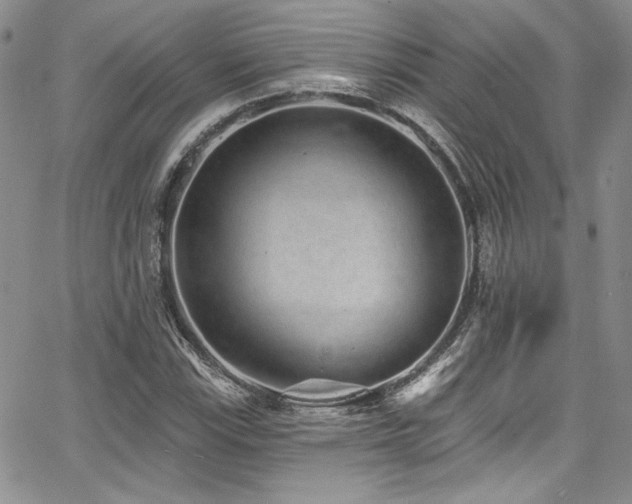 X0000068271115200604211103