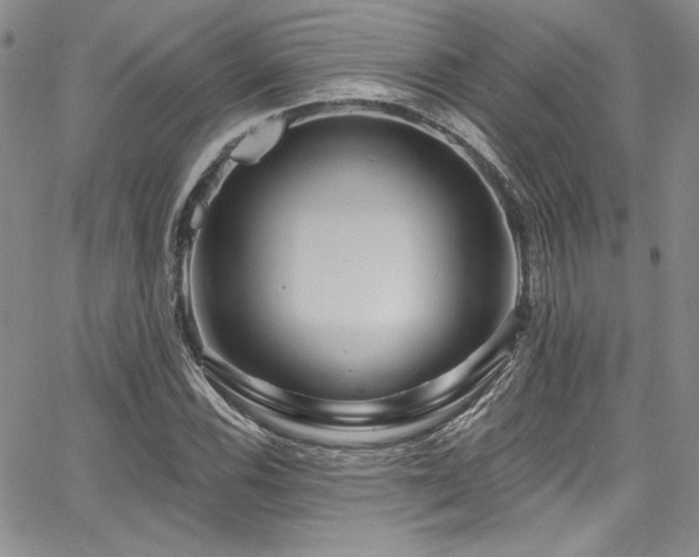 X0000068271116200604211103