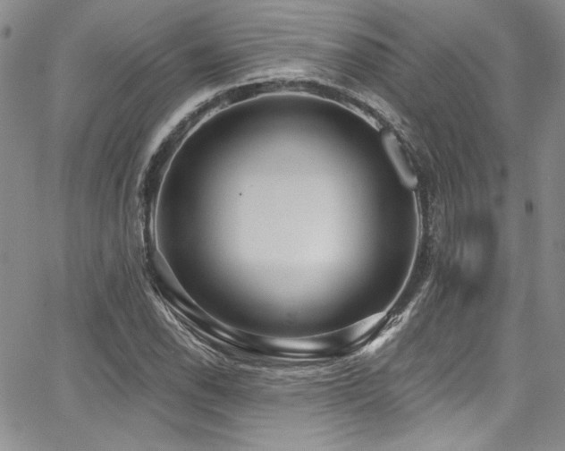 X0000068271118200604211103