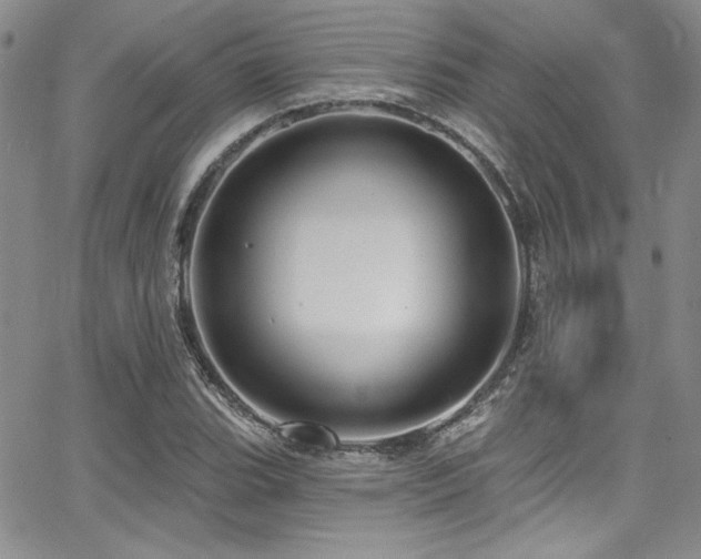 X0000068271119200604211103