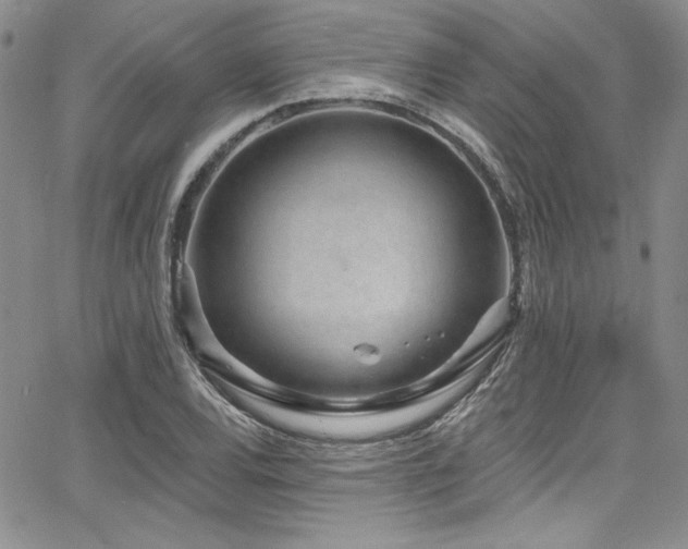 X0000068271120200604211103