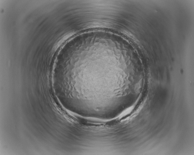 X0000068271121200604211103