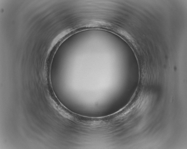 X0000068271122200604211103