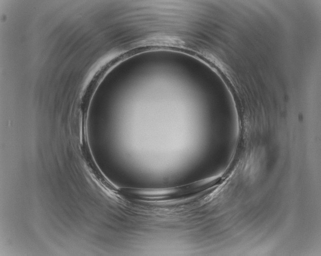 X0000068271123200604211103