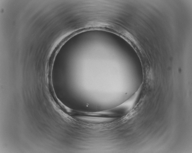 X0000068271124200604211103