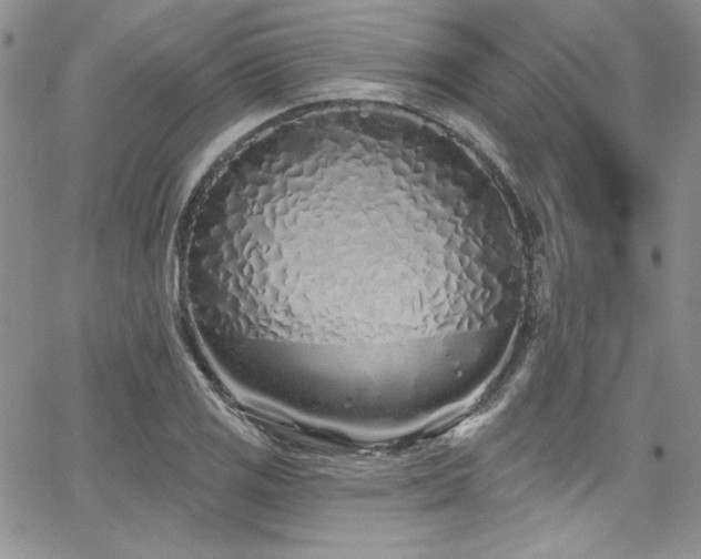 X0000068271125200604211103