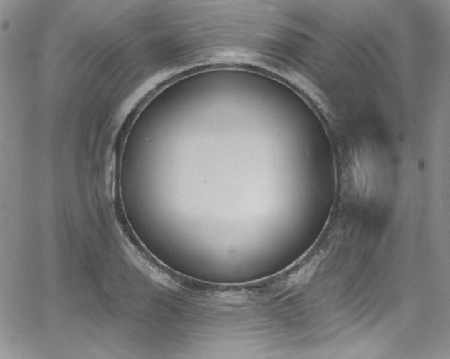 X0000068271126200604211103